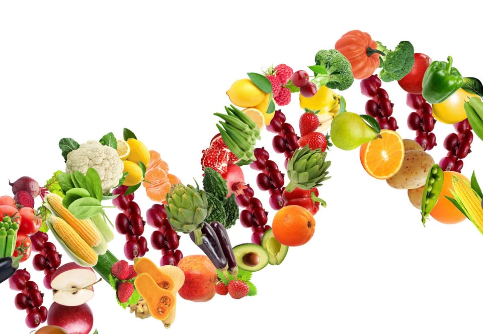 Nutrition personnalisée et épigénétique
