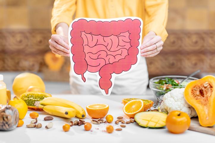 L’Impact du Microbiote Intestinal sur notre Santé : Une Révolution Nutritionnelle et Médicale